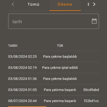 Betroad Sitesinde Geciken Ödeme Sorunu