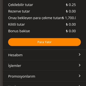 Betroad Sitesinde Geciken Ödeme Sorunu