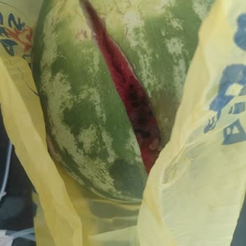 Şok Net Şok Marketten Bozuk Ürün