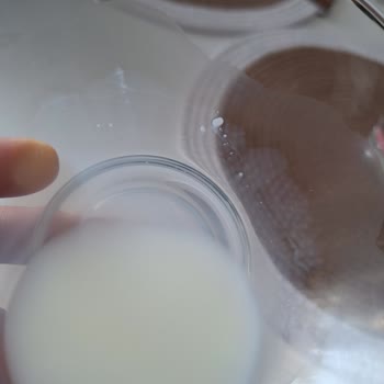 Pınar Süt Bozuk Tat Ve Tortu