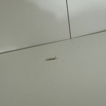 IKEA Bir Sürü Paraya Kalitesiz Mal!