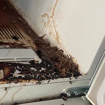 YEDAŞ Elektrik Kesintisinin Bildirilmemesi