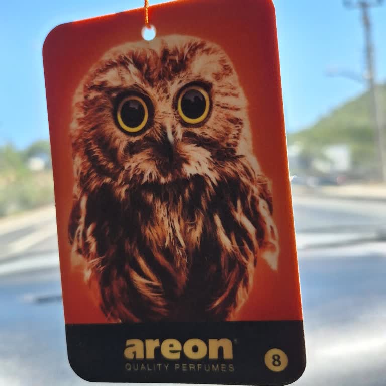 Areon Türkiye Sürekli Hayal Kırıklığı Aldığım Ürünler Kokuyor