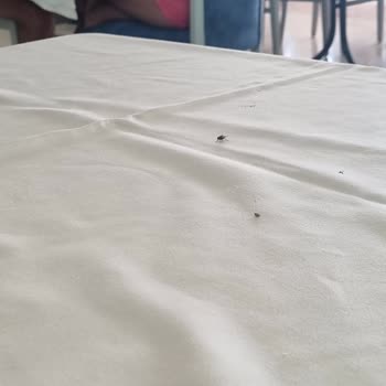 Yasmin Bodrum Resort Vasat Bir Tatil Ve İhtiyaçlara Cevap Vermeyen Bir Otel