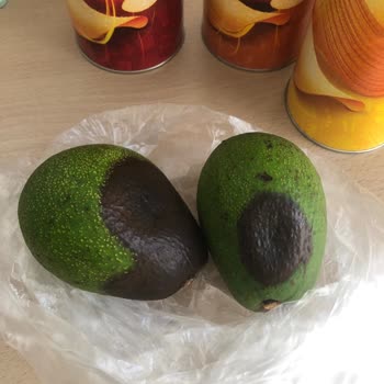 Migros Hemen Yerine Migros Asla Olmalı!