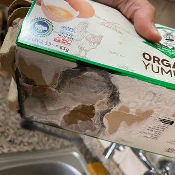 Migros'tan Gelen Bozuk Yumurta Şikayeti