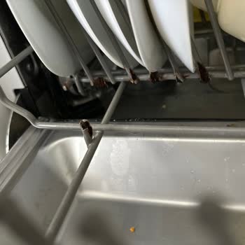 Teka Bulaşık Makinesinin Sepeti Sürekli Paslanıyor!