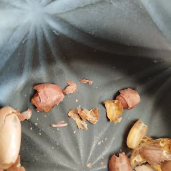 Göral Kuruyemiş'ten Aldığım Tuzsuz Yer Fıstıkları Kurtlu Çıktı