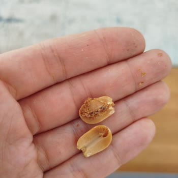 Göral Kuruyemiş'ten Aldığım Tuzsuz Yer Fıstıkları Kurtlu Çıktı