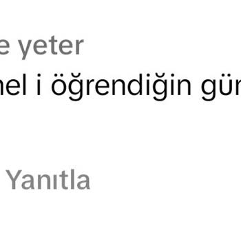 TikTok'ta Küfürlü Yorum Atan Kişiler