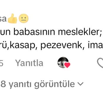 TikTok'ta Küfürlü Yorum Atan Kişiler