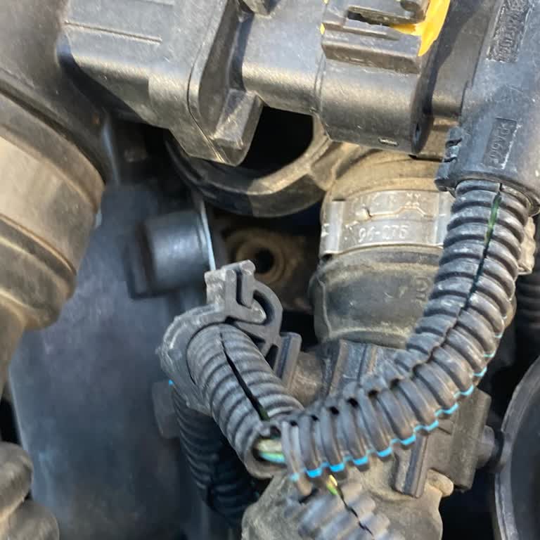 Fiat Yetkili Servisi