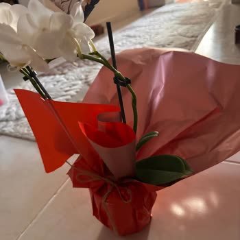 Taze Çiçek (tazecicek.com) Yanlış Renk Ve Geç Teslimatla Hayal Kırıklığı