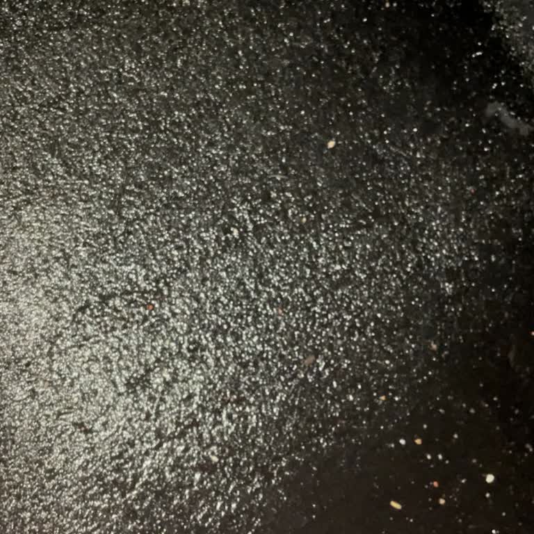 2023 Renault Clio Water Leak Issue - Request for Resolution