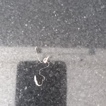 Eti Gıda Eti Karam Dan Plastik Çıktı