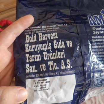 Amigo Çekirdek Kurt Çıktı