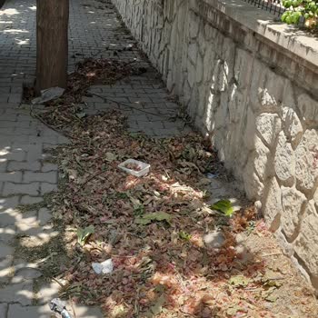 Aydın Büyükşehir Belediyesi Efeler İlçesi Çevre Kirliliği Şikayeti