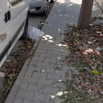 Aydın Büyükşehir Belediyesi Efeler İlçesi Çevre Kirliliği Şikayeti