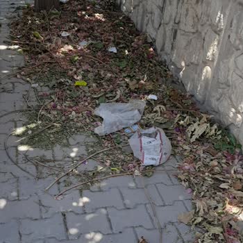 Aydın Büyükşehir Belediyesi Efeler İlçesi Çevre Kirliliği Şikayeti