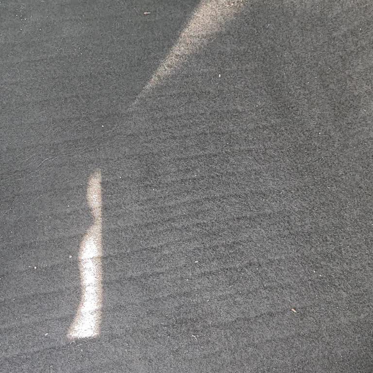 Renault Fluence Su Alma Sorunu İç Kısım Paspaslar Altı...