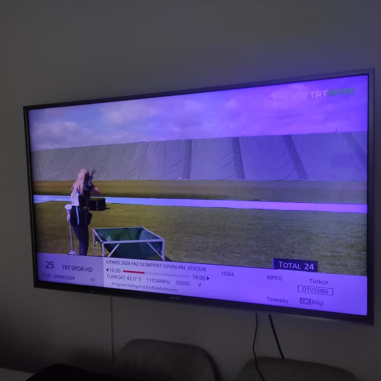 Arçelik Televizyonun Mavi Ekran Sorunu Ve Garanti Problemi