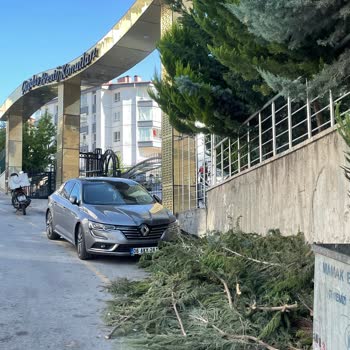 Mamak Belediyesi Ve Mamak Zabıta