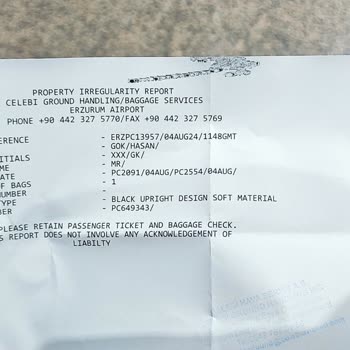 Pegasus Kayıp Valiz Vakası