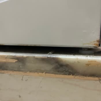 Bosch Termoteknoloji Bosch Çamaşır Makinesinde Paslanma Sorunu Ve Yetersiz Servis Desteği