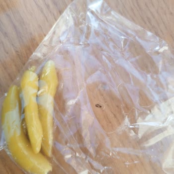 Malatya Merkez Donas Dürüm Şikayet