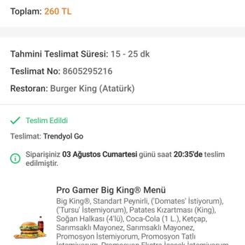 Burger King Yedikten Sonra Zehirlendim