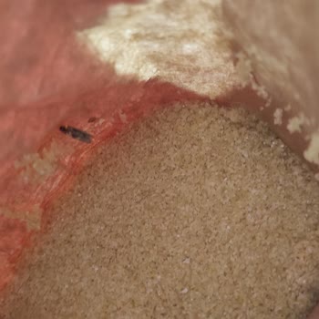 A101 Bendo Marka İrmiğin İçinden Böcek Çıktı