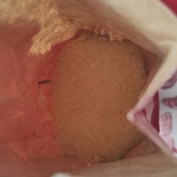 A101 Bendo Marka İrmiğin İçinden Böcek Çıktı