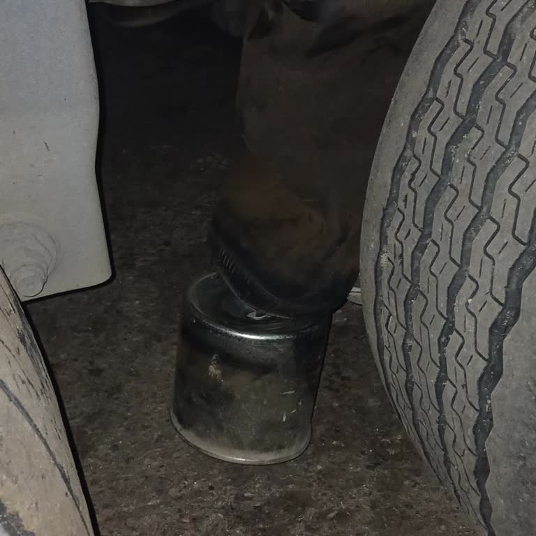 Otosemih Adapazarı Kötü İşçilik Sonucu Yeniden Körük Aldım