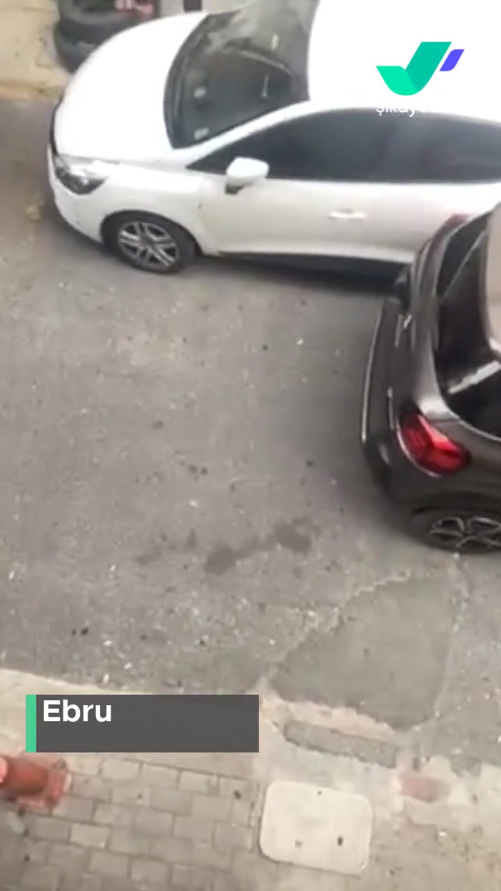 Emniyet Genel Müdürlüğü Sokağa Araba Park Etme! videonun kapak resmi