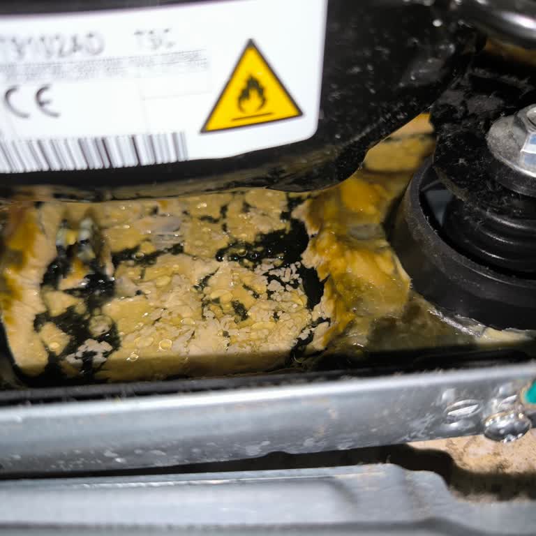 Samsung Buzdolabından Gelen Koku Sorunu