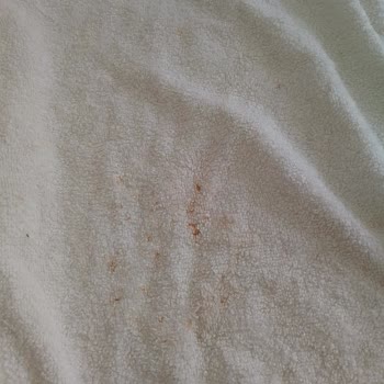 Samsung Çamaşır Makinesi Performans Sorunu