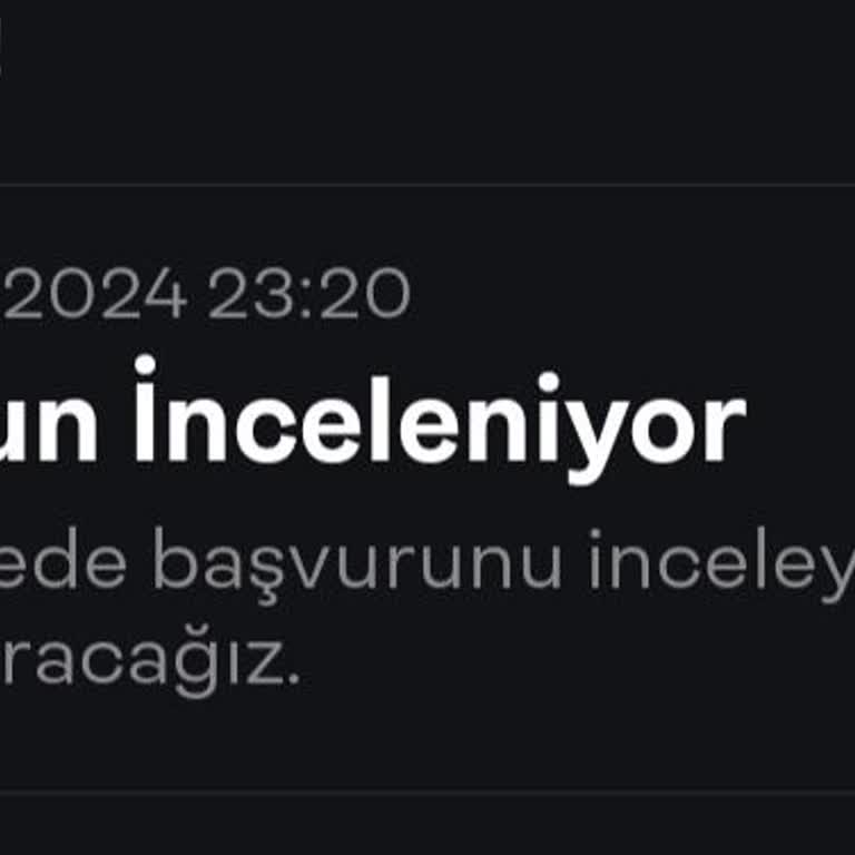 Papara Başvurun İnceleniyor Sorunu