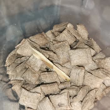 Tarım Kredi Kooperatif Market Tarım Kooperatifi Çikolata Dolgulu Gevrek