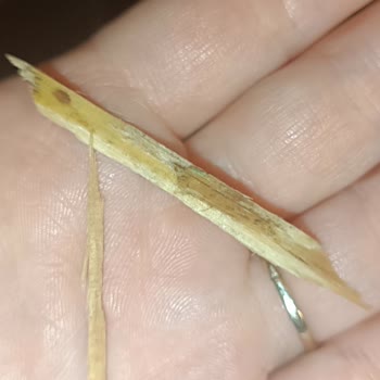 Tarım Kredi Kooperatif Market Tarım Kooperatifi Çikolata Dolgulu Gevrek