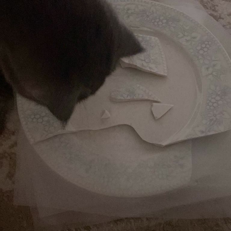 Madame Coco İade Talebi Desteği