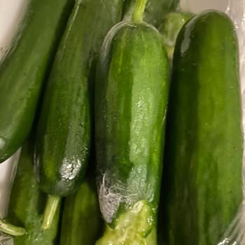 Migros Ürünlerin Bozuk Çıkması