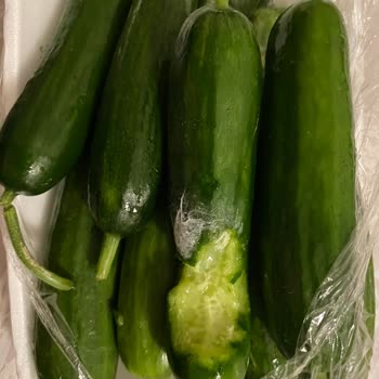 Migros Ürünlerin Bozuk Çıkması