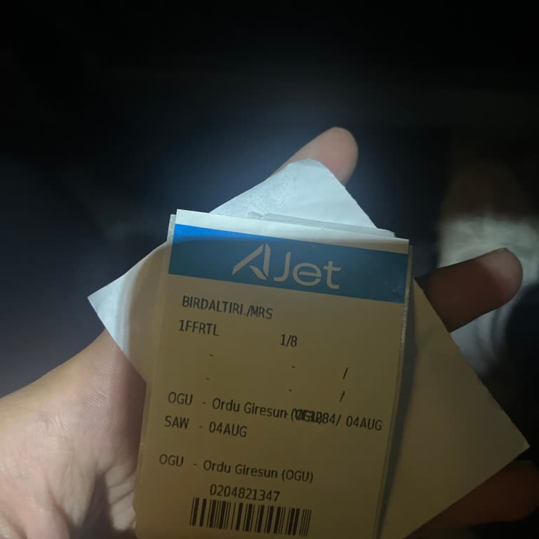 Ajet (Anadolu Jet) Bagaj Kaybı Ve Hizmet Sorunu