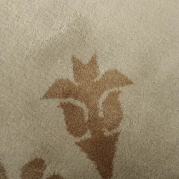 Diyanet İşleri Başkanlığı Caminin Halısındaki Şeytani Figürler Şaşkınlık Yarattı