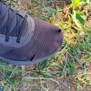 4 Ayda Parçalanan Adidas Ayakkabı