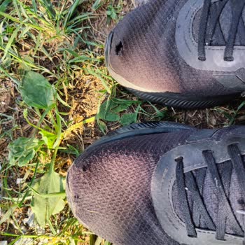 4 Ayda Parçalanan Adidas Ayakkabı