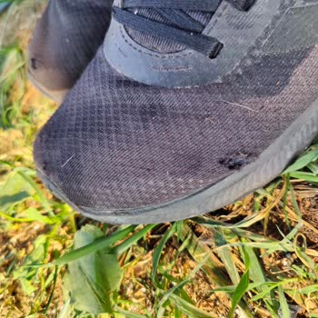 4 Ayda Parçalanan Adidas Ayakkabı