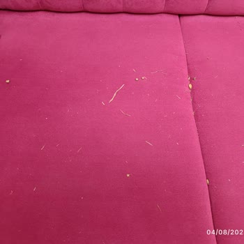 BİM Kamp Çadırı Kullanılmış Çıktı