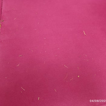 BİM Kamp Çadırı Kullanılmış Çıktı