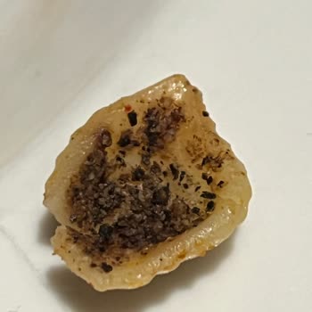 Barilla Makarna Böcekli Çıktı!